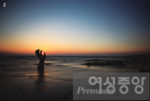 일출과메기 이미지