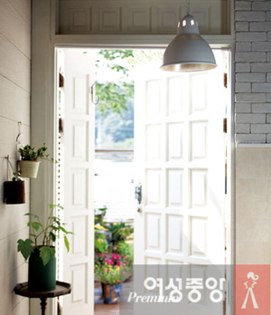 켈빈조명 이미지