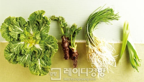 봄동,두릅,달래,원추리
