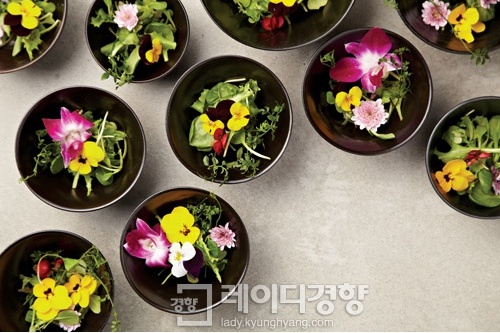 봄꽃 요리