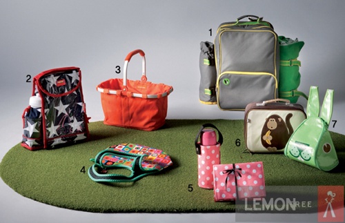 Picnic & Lunch Bag