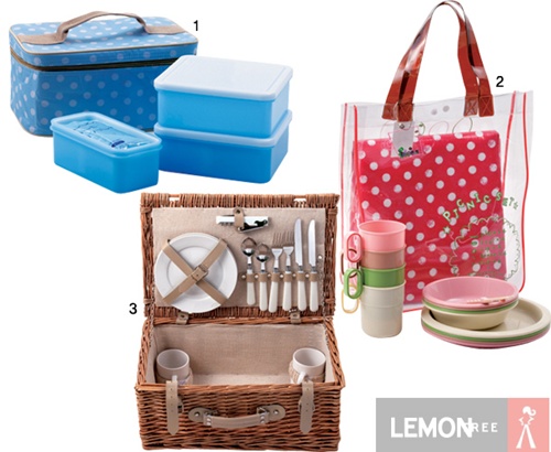 Picnic & Lunch Bag