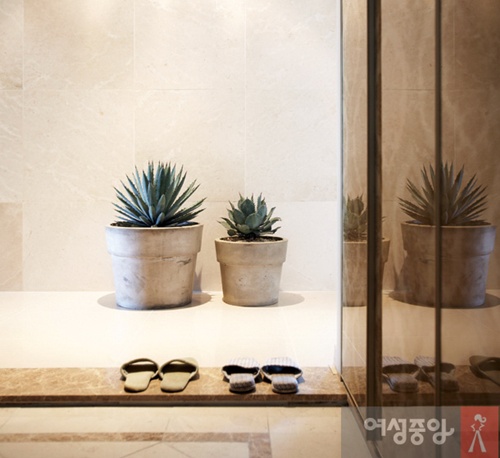 꽃과다육 이미지